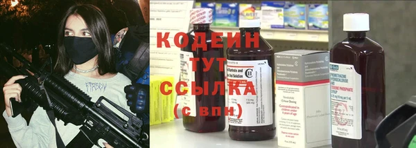 прущие крисы Няндома