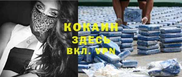 прущие крисы Няндома