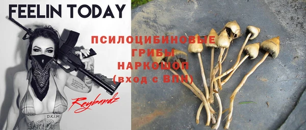 2c-b Нягань