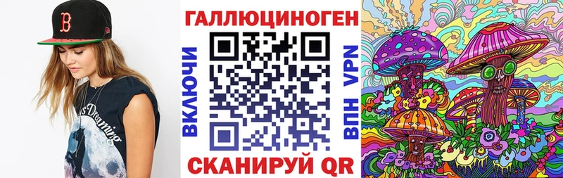 Псилоцибиновые грибы Cubensis Анива